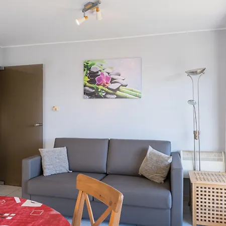 Overlooking The Surroundings *