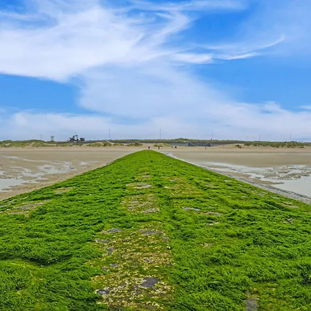 Overlooking The Surroundings *